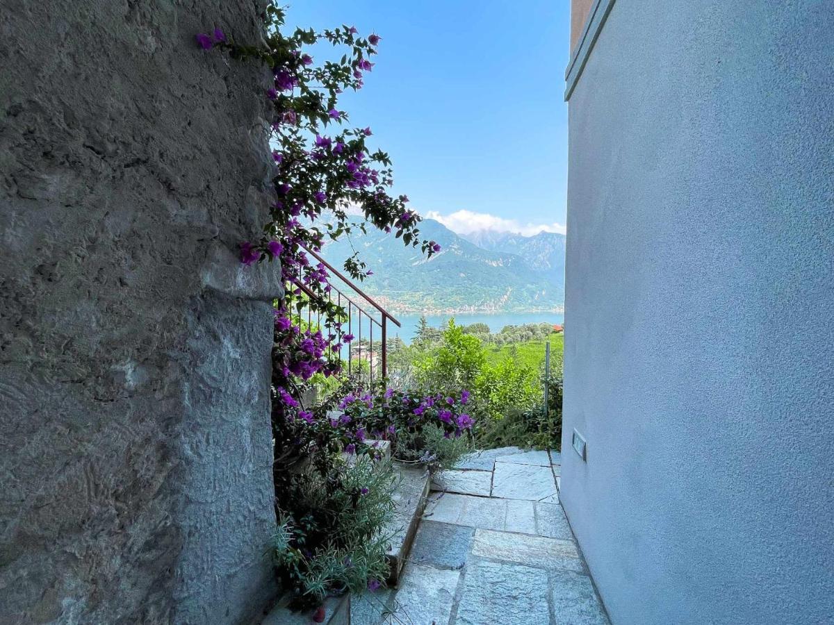Antico Torchio Apartment Limonta Exterior photo